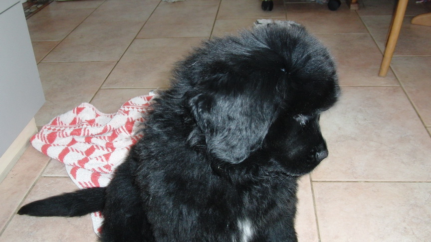 25.03.15 Bilbo 2