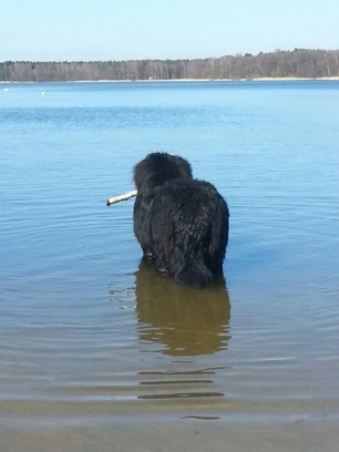 Apollo im Wasser 2
