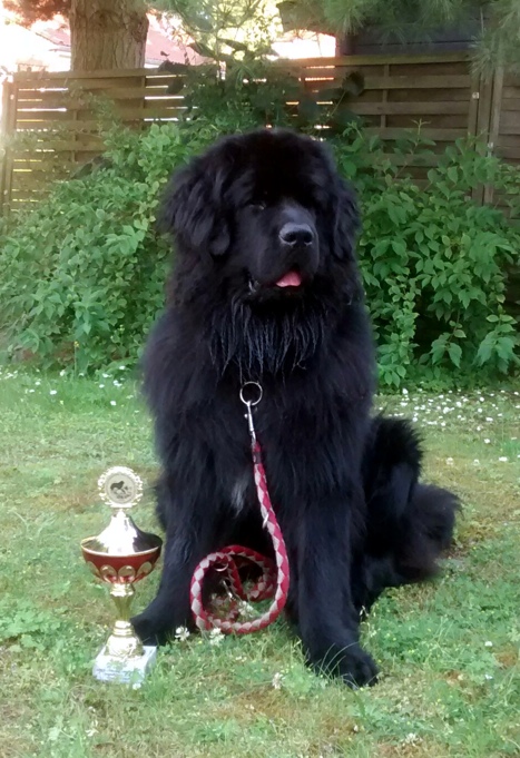 Argon mit Pokal 1 2 