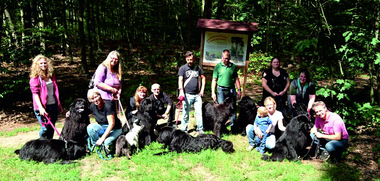 Gruppenbild 2 Gruppenbild 2