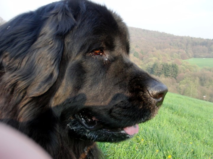 Holly2013_04_20