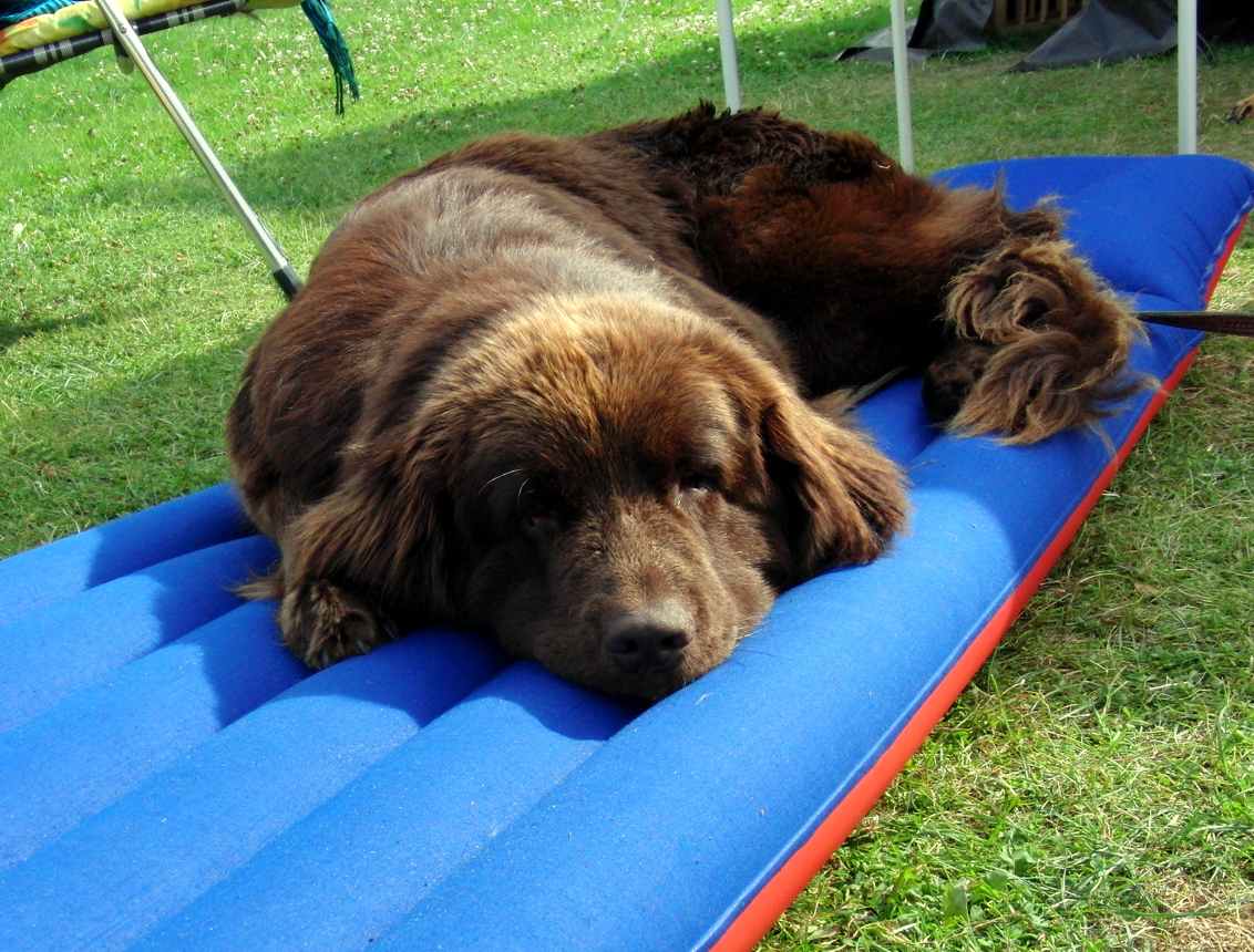 Hazel auf der Luftmadratze