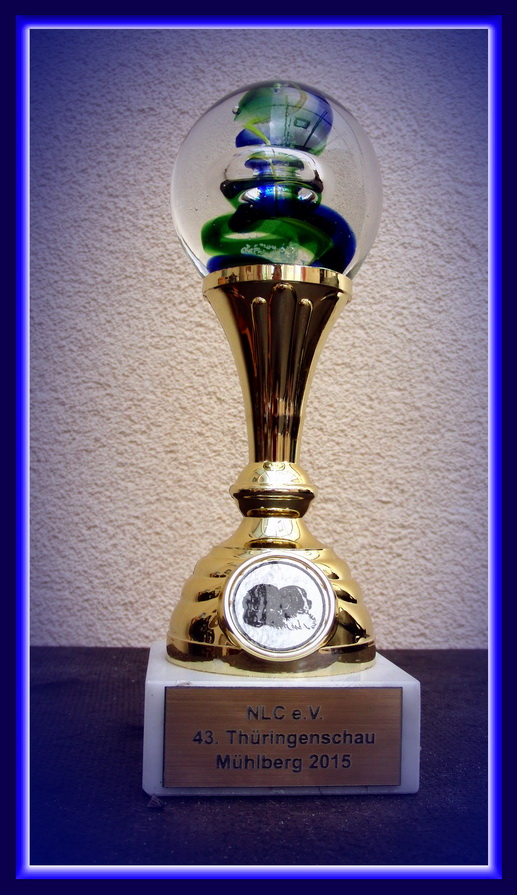 Pokal
