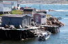 Carlb-fogo-newfoundland-fishery