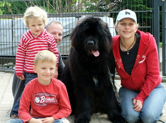 lennox_bear_08)